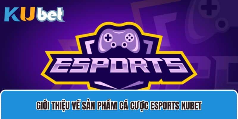 Giới thiệu về sản phẩm cá cược Esports Kubet