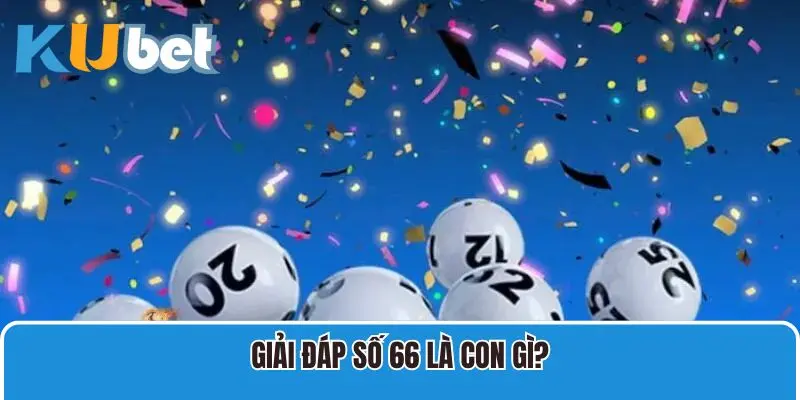 Giải đáp số 66 là con gì?